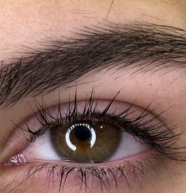 welches Wimpernlaminierungsset ist das beste